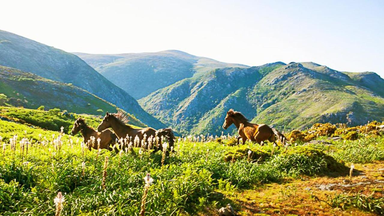 Agrinho Suites & Spa Geres Valdosende Eksteriør bilde